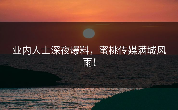 业内人士深夜爆料，蜜桃传媒满城风雨！