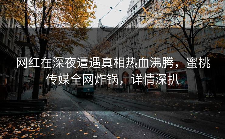 网红在深夜遭遇真相热血沸腾，蜜桃传媒全网炸锅，详情深扒