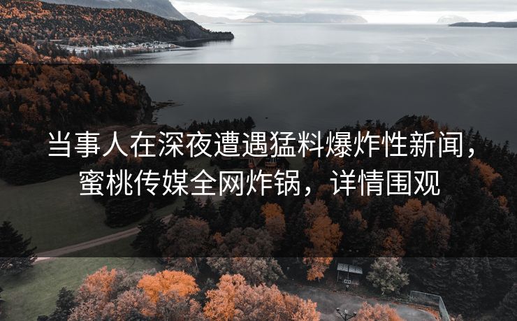 当事人在深夜遭遇猛料爆炸性新闻，蜜桃传媒全网炸锅，详情围观