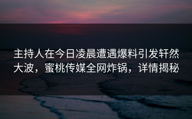 主持人在今日凌晨遭遇爆料引发轩然大波,蜜桃传媒全网炸锅,详情揭秘 主持人在今日凌晨遭遇爆料引发轩然大波,蜜桃传媒全网炸锅,详情揭秘