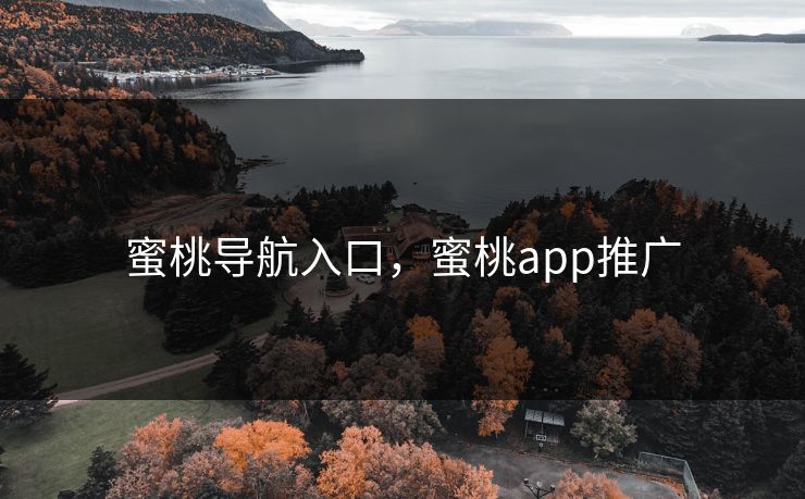 蜜桃导航入口，蜜桃app推广